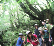 エコツアーはこちら