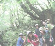 エコツアーはこちら