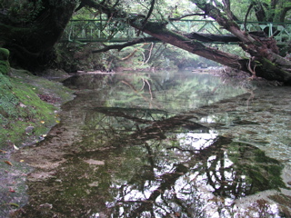 淀川