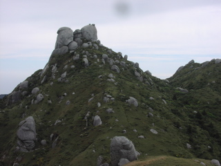 翁岳