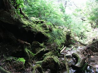 水場