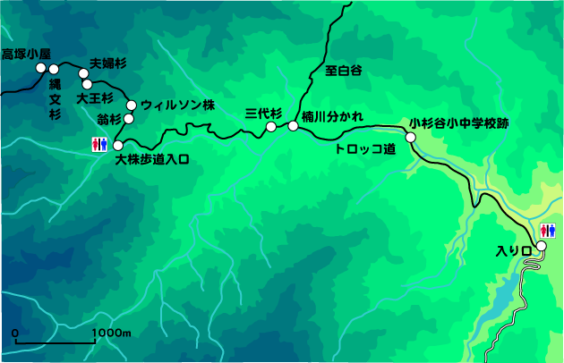 縄文杉コース