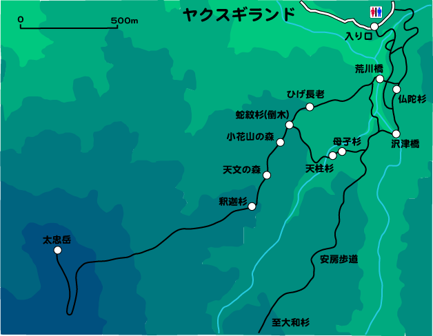 ヤクスギランドコース