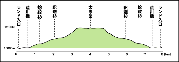 ヤクスギランド高低表