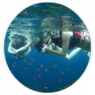 海辺ウォッチング