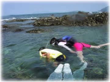 海辺ウォッチング