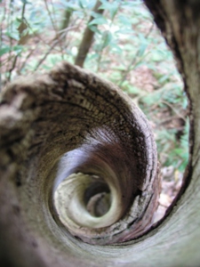 ワークキャンプ2