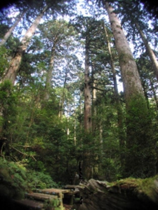 ワークキャンプ1