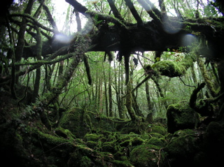 tatyuzawa1