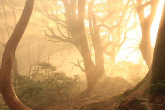 戸辺さんのone photo