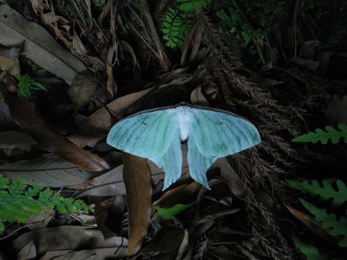 img20150701135121439953.jpg